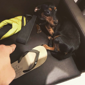 小雪握住老杨的又粗又大
